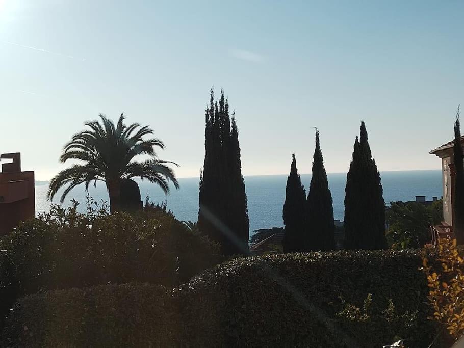 Residence De Luxe Sun Paradis, Studio Terrasse, Vue Mer Piscine Cannes Exterior foto